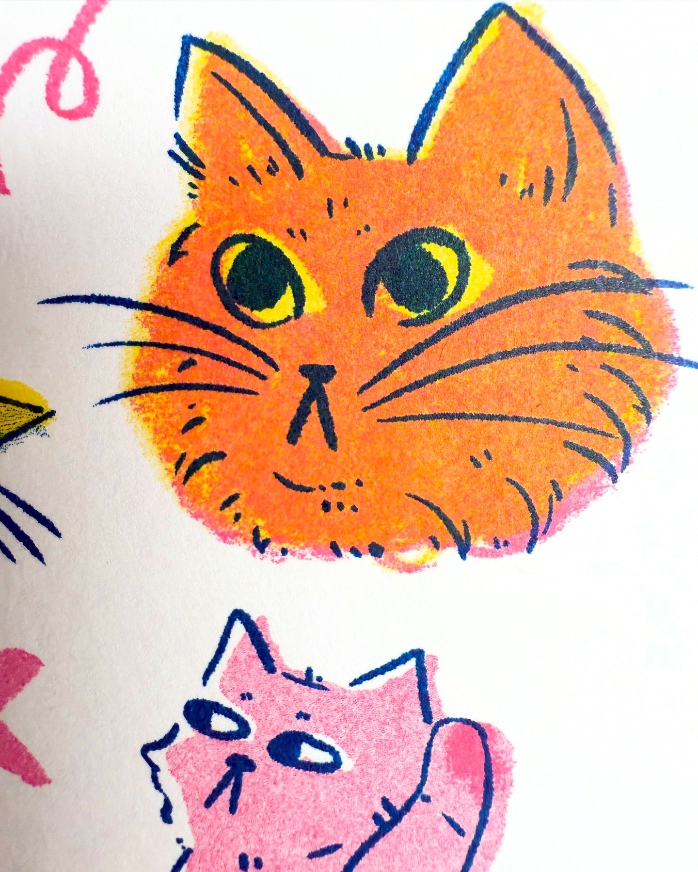 Every Cat Is My Friend by Gabby Ramirez