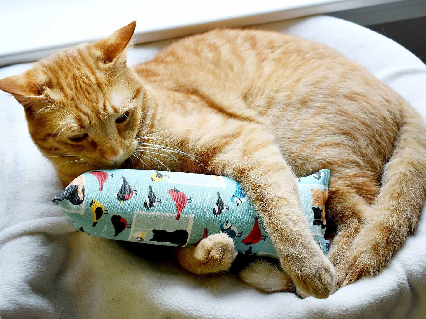 Chester and Pearl - Catnip Crinkle Kicker Cat Toy - kitties watching birds