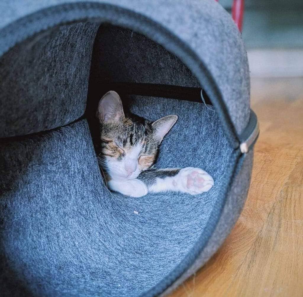Travel Cat | Your Cat Backpack - "Donut!" Cat Hideaway Cave & Bed - Cozy Chic Pet Bed
