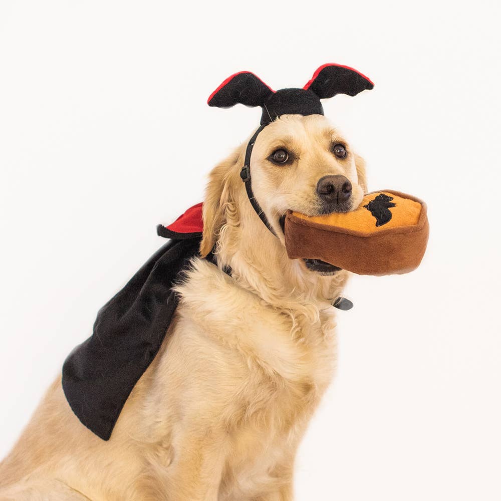 Pet Halloween Costume Kit - Dracula