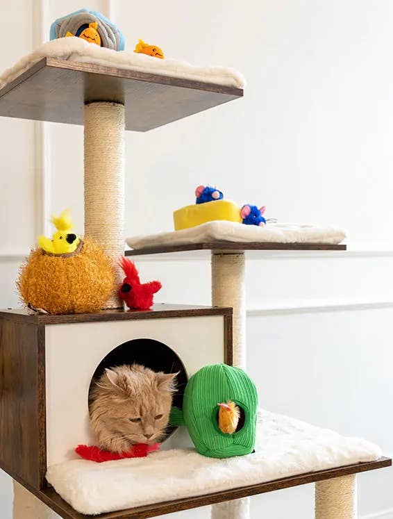 ZippyClaws Burrow™ - Birds in Nest