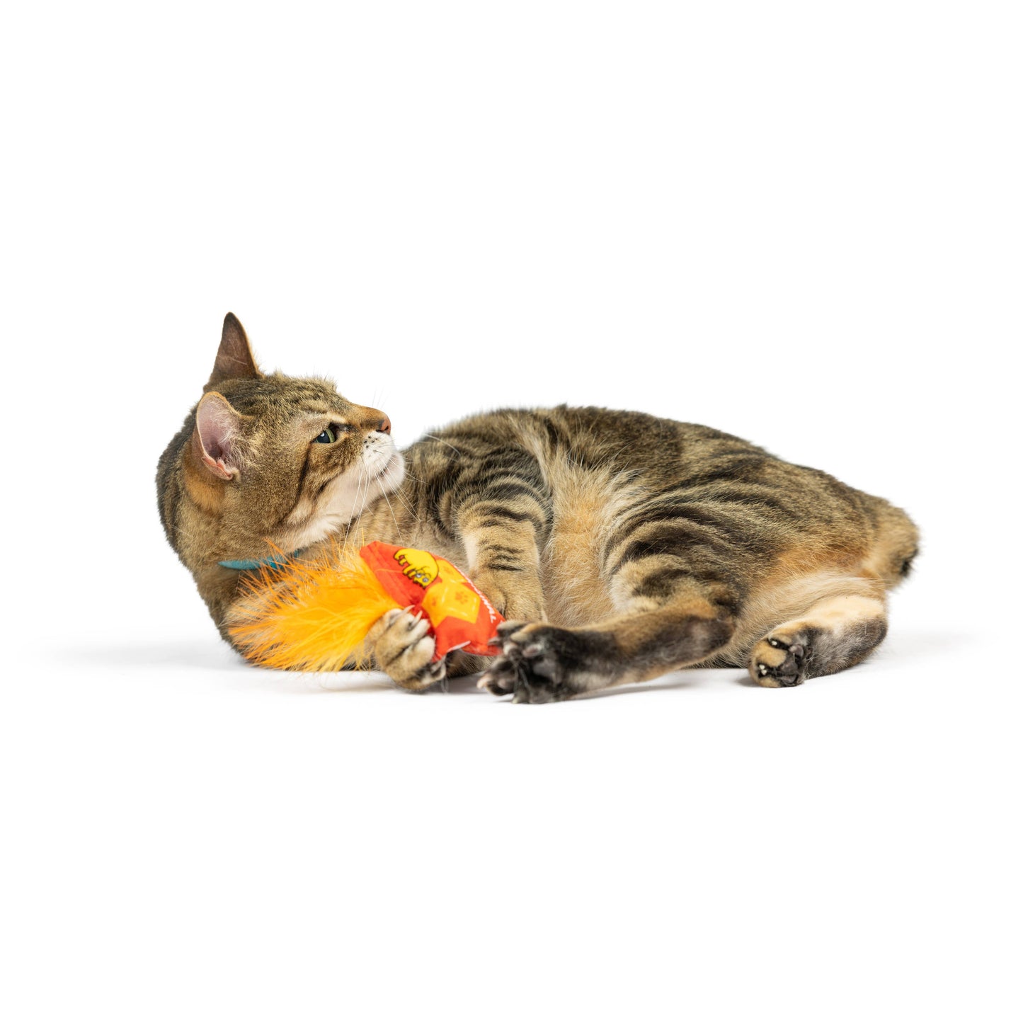 Sneez-It Cat Toy