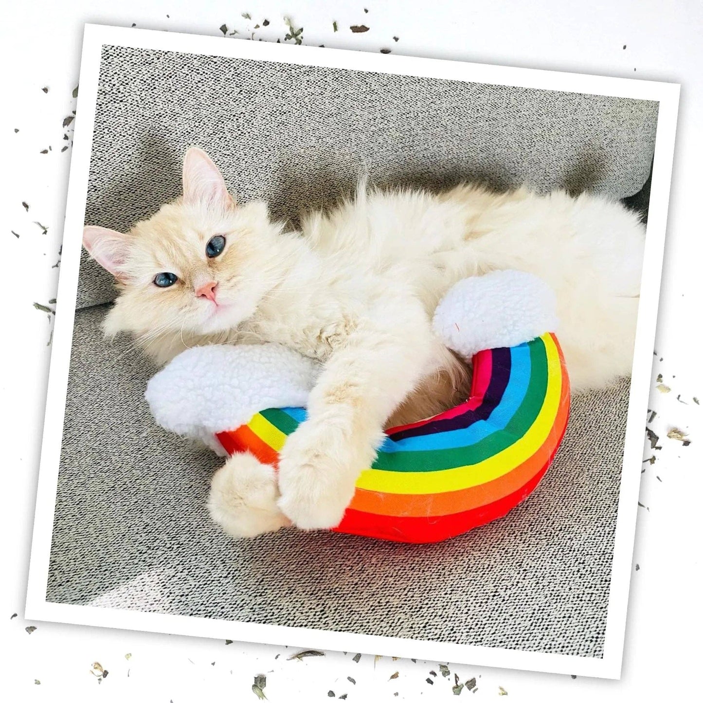Get Kickin' Rainbow Refillable Kicker Cat Toy