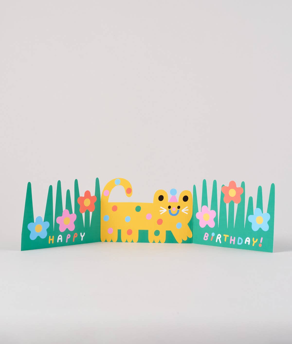Wrap - 'Cat' Fold Out Kid's Birthday Card