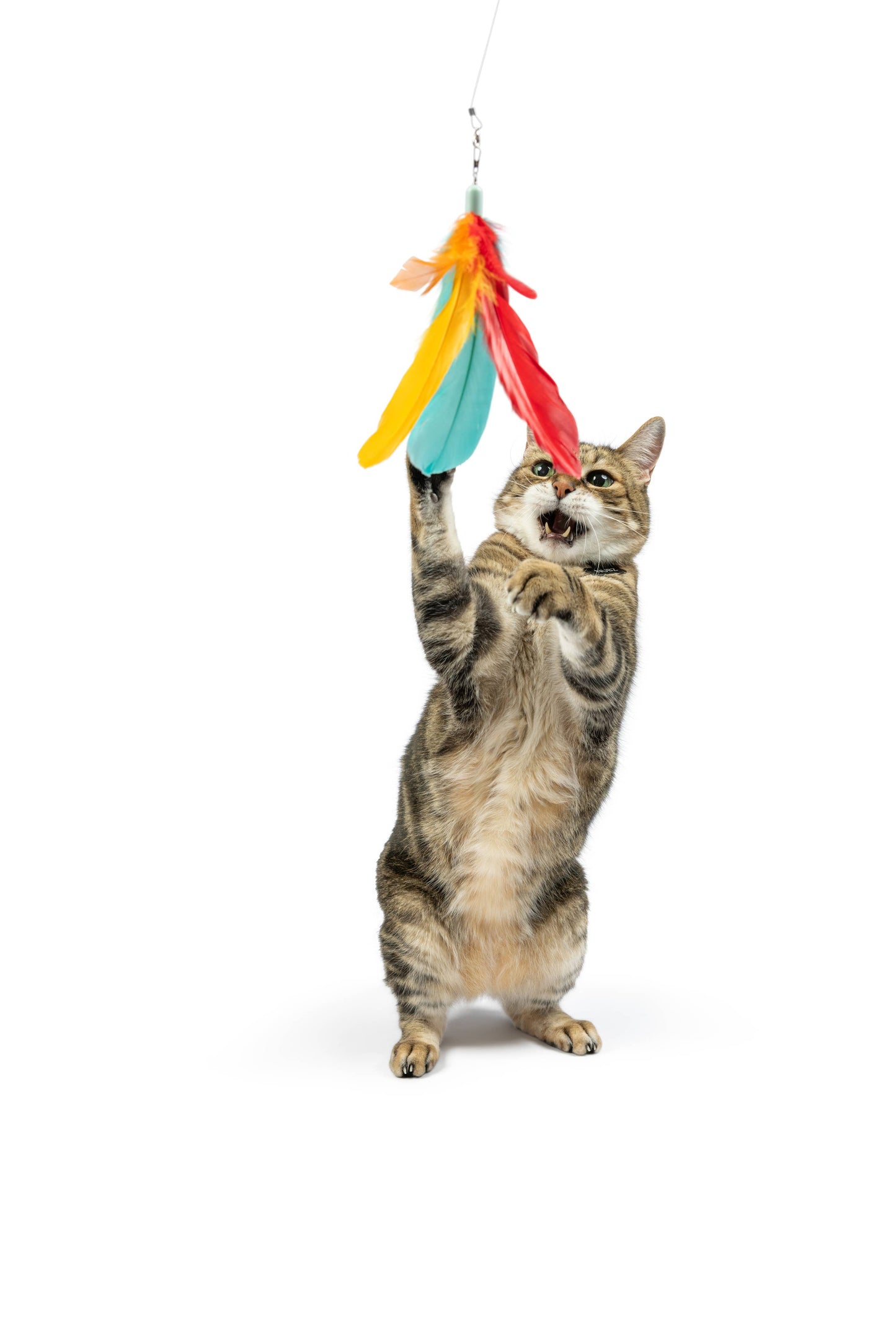 Teaser Treatos Snacks Wand Cat Toy