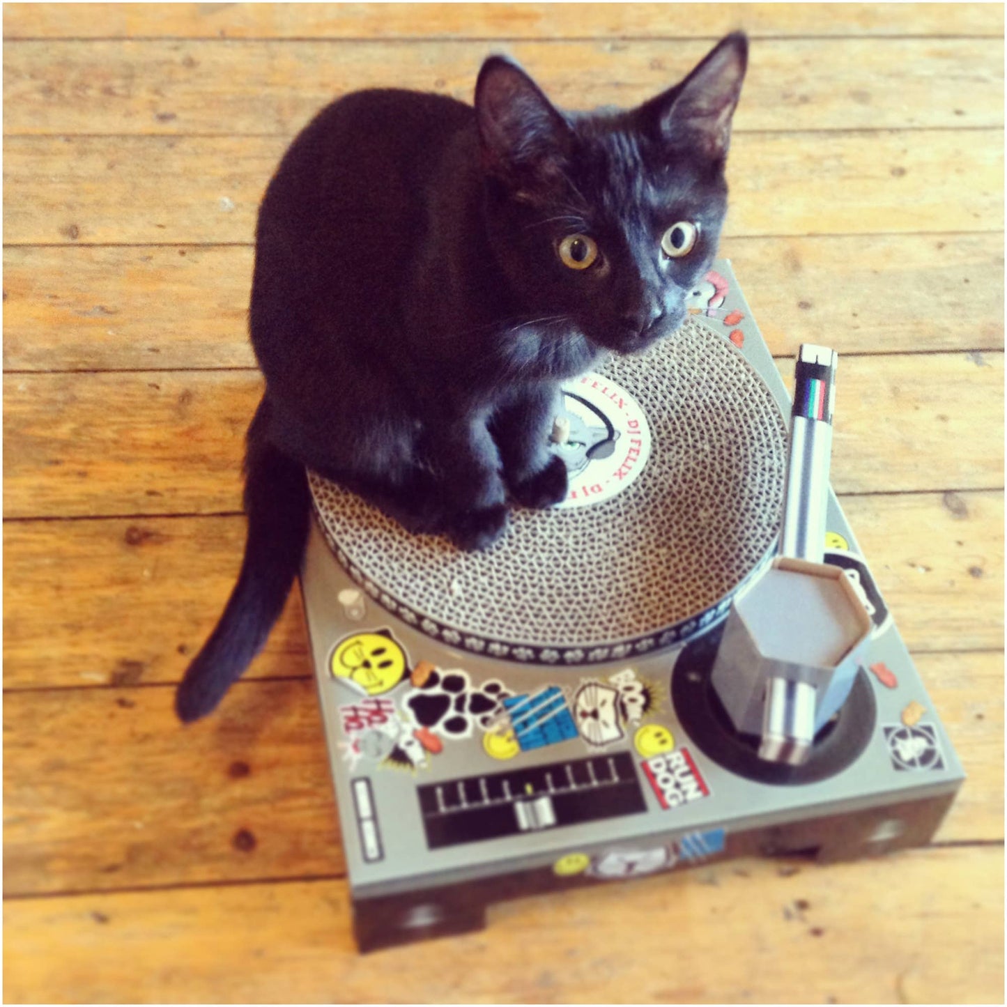 Cat Scratch DJ Deck