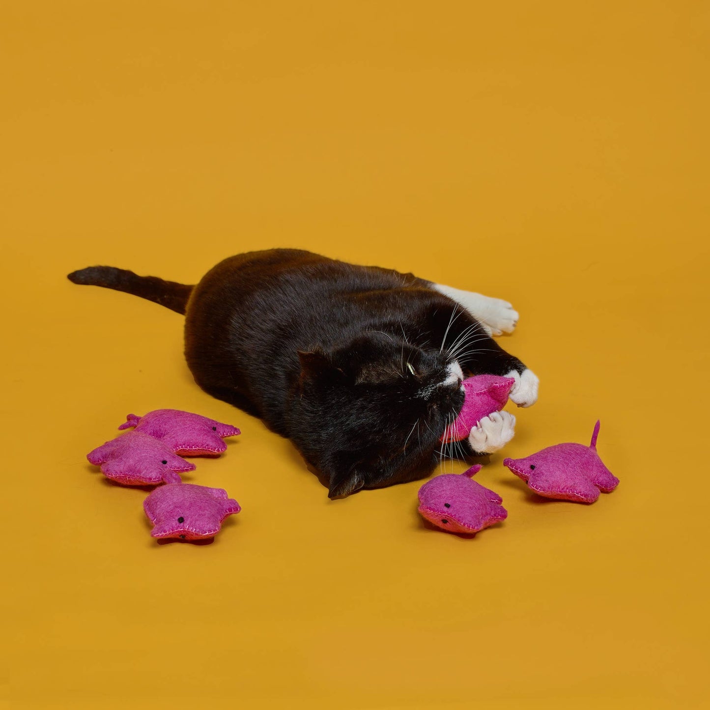 Wool Pig Cat Toy