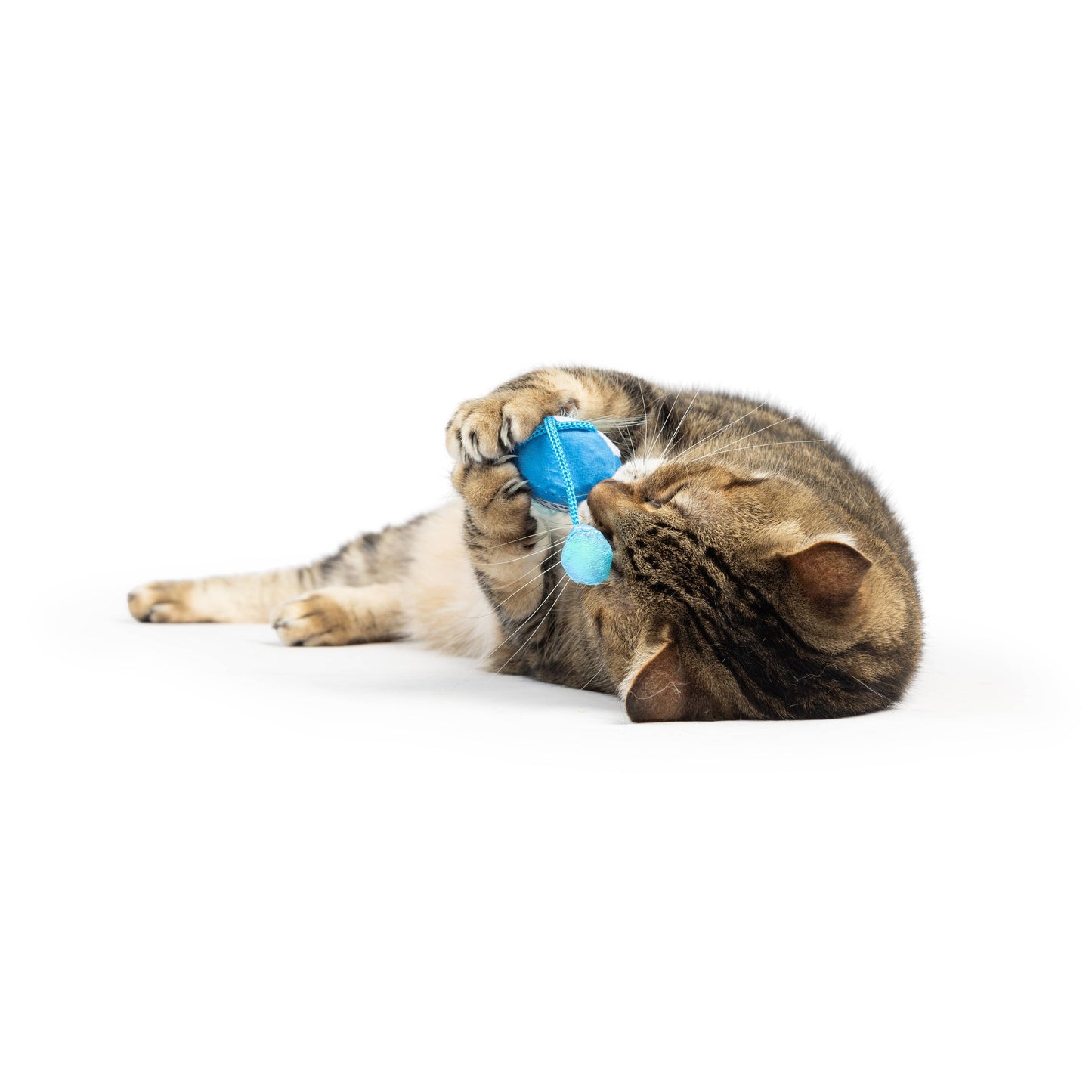 Huxley & Kent - Bluebird Chirpy Cat Toy