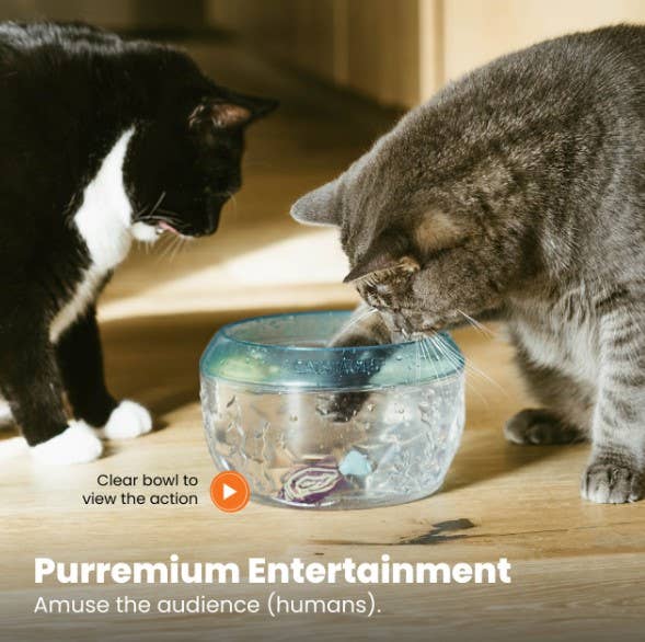 Catstages Meow-Smerizing Fish Bowl Cat Toy Blue