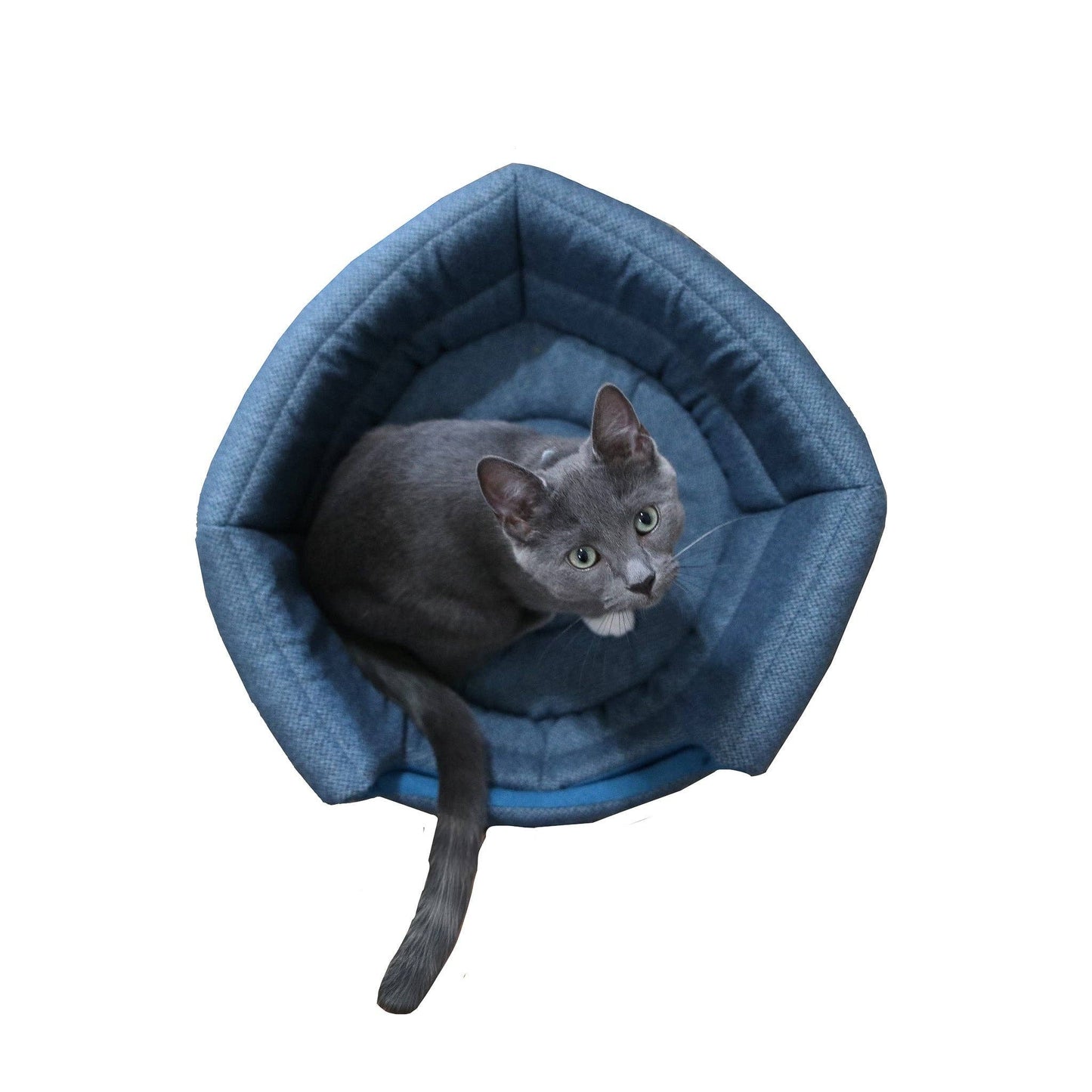 Travel Cat | Your Cat Backpack - "The Meowbile Home" Convertible Cat Bed & Cave - Blue