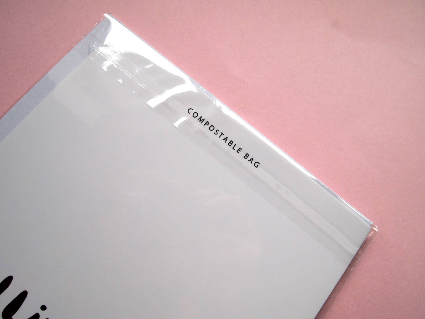 I LIKE CATS - Bug spotting cats illustrated Cat Greetings Card