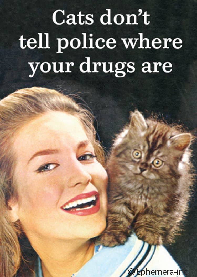 Cats don't tell police where your drugs are magnet