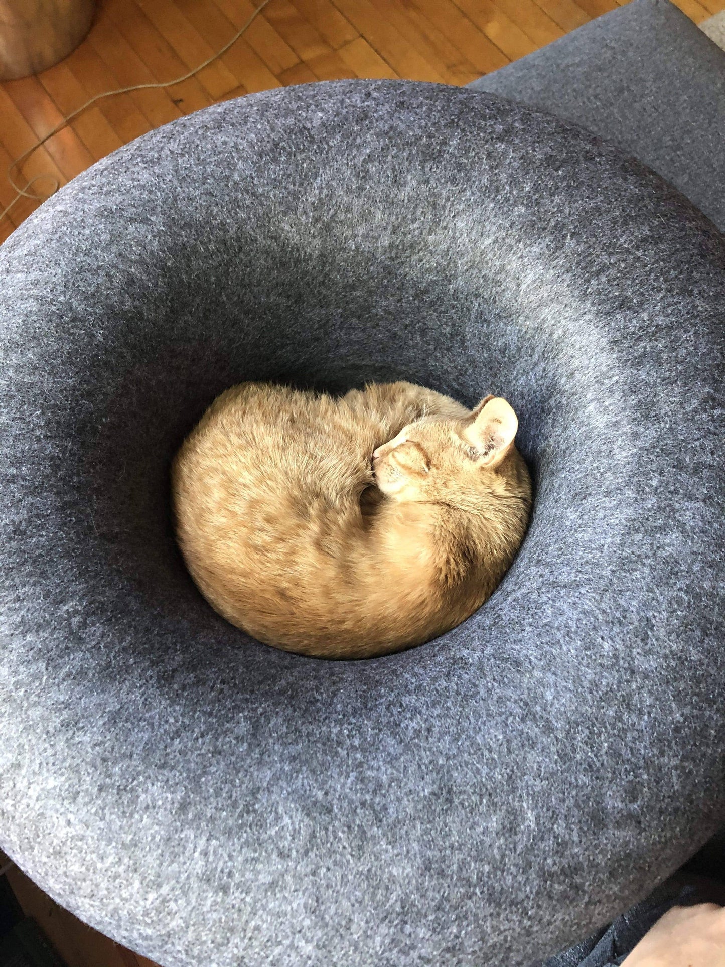 Travel Cat | Your Cat Backpack - "Donut!" Cat Hideaway Cave & Bed - Cozy Chic Pet Bed