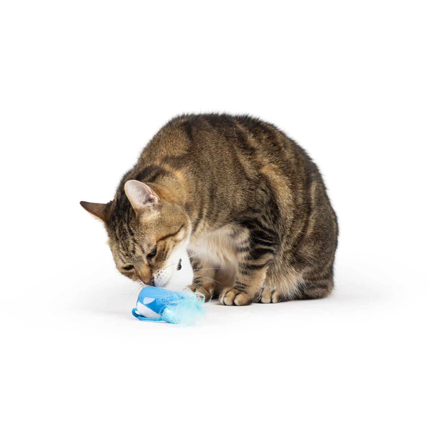 Huxley & Kent - Bluebird Chirpy Cat Toy