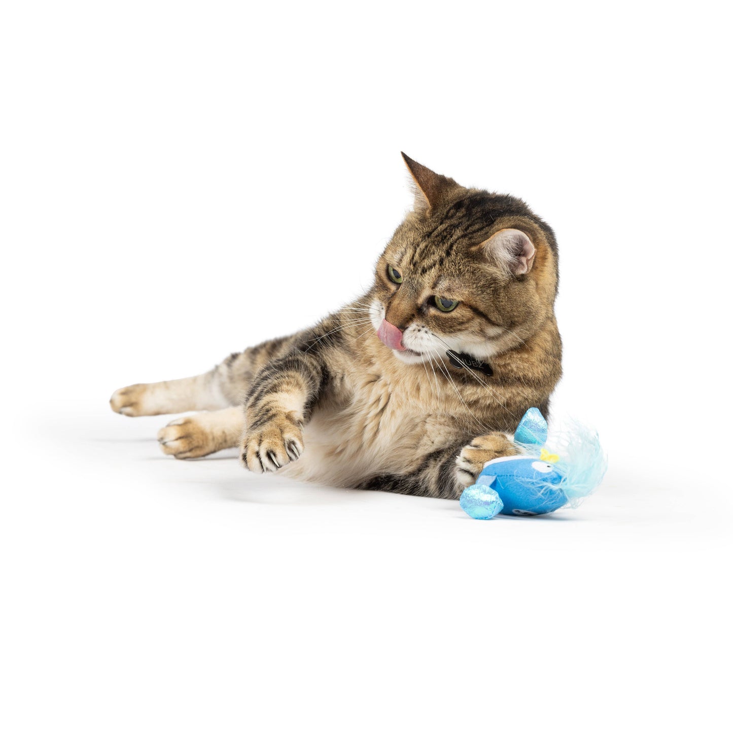 Huxley & Kent - Bluebird Chirpy Cat Toy