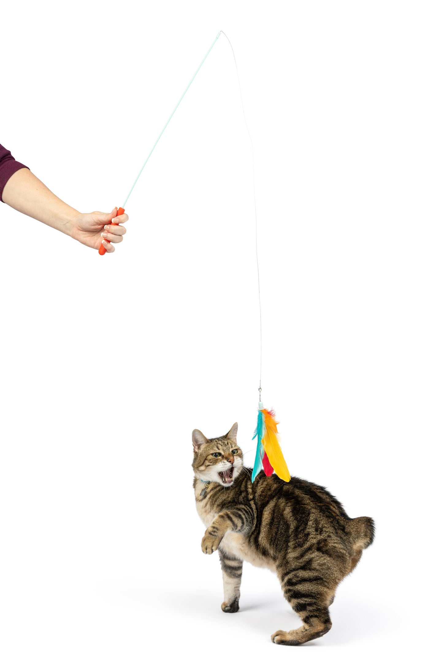 Teaser Treatos Snacks Wand Cat Toy
