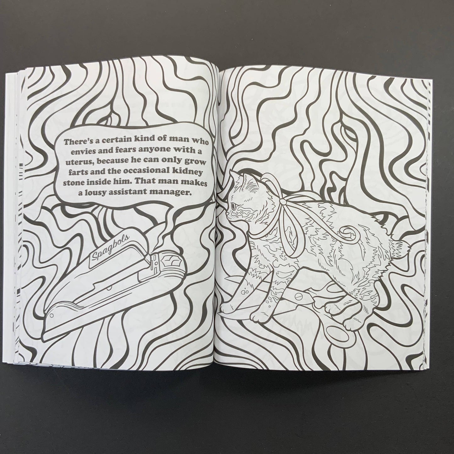 Stoner Cats Coloring Book