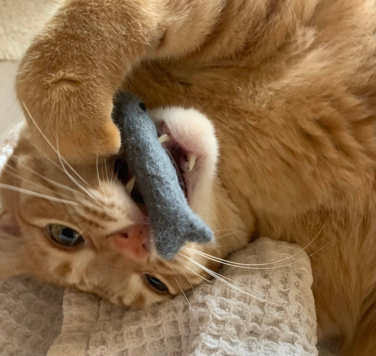 Organic Catnip Infused Wool Sardines