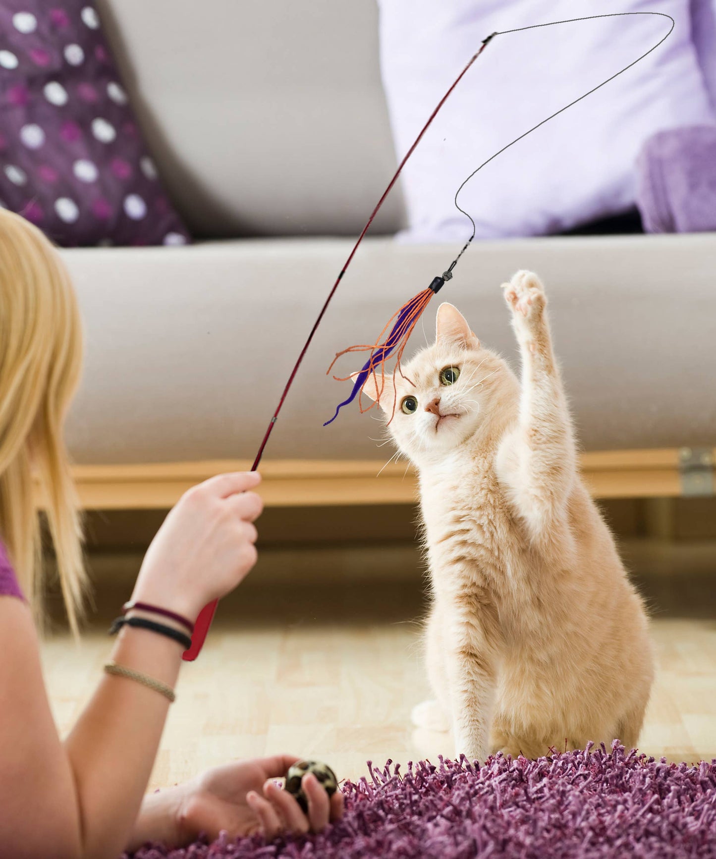 Dezi & Roo - Wiggly Wand Cat Toy
