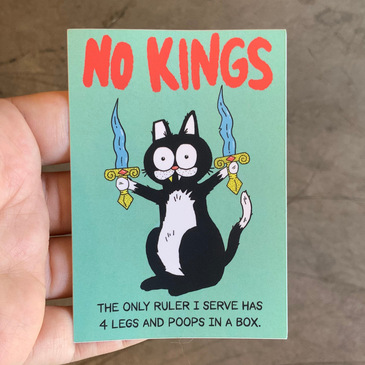 Cool Cat Collective No Kings sticker