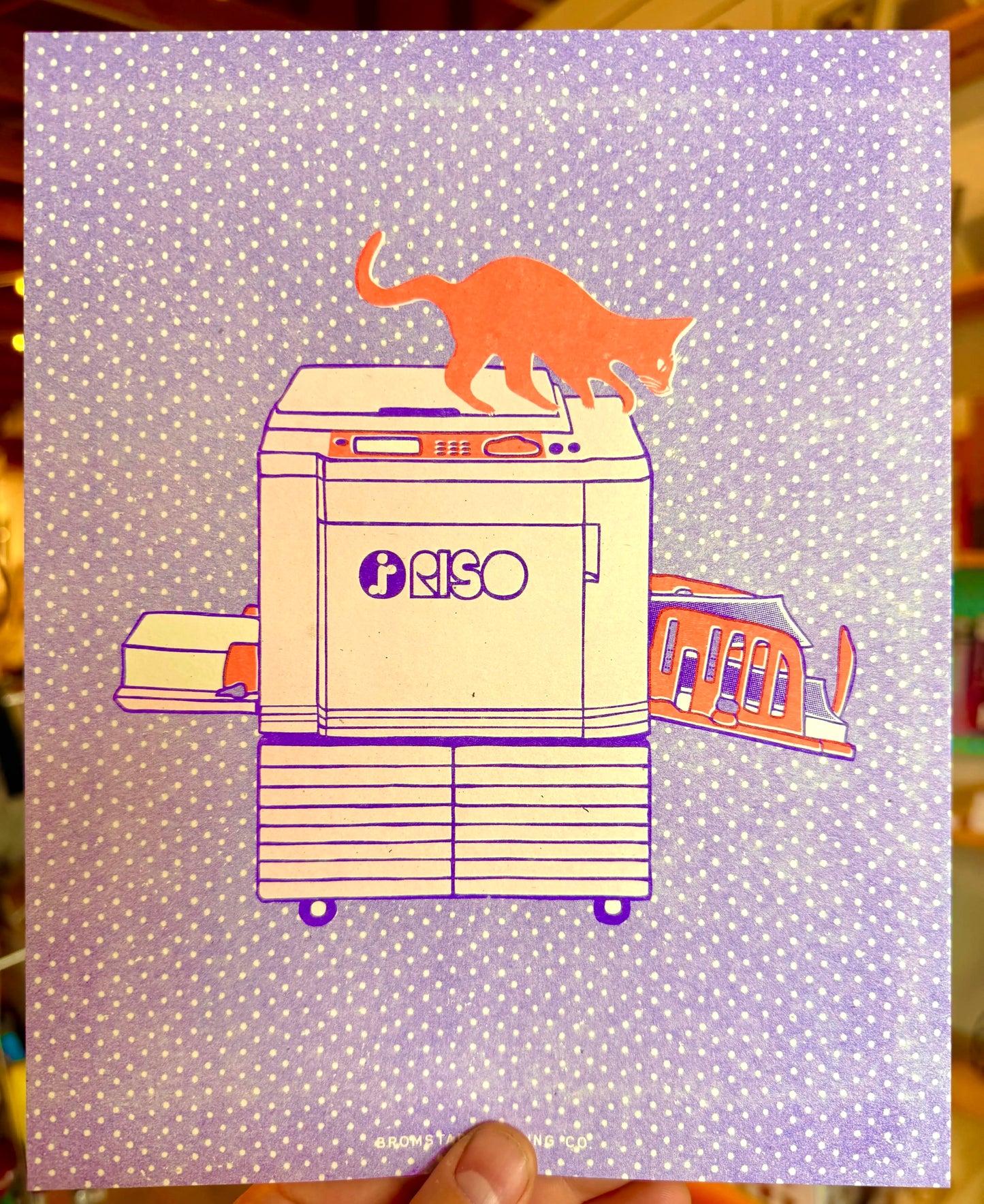 Riso Cat by Talia Bromstad
