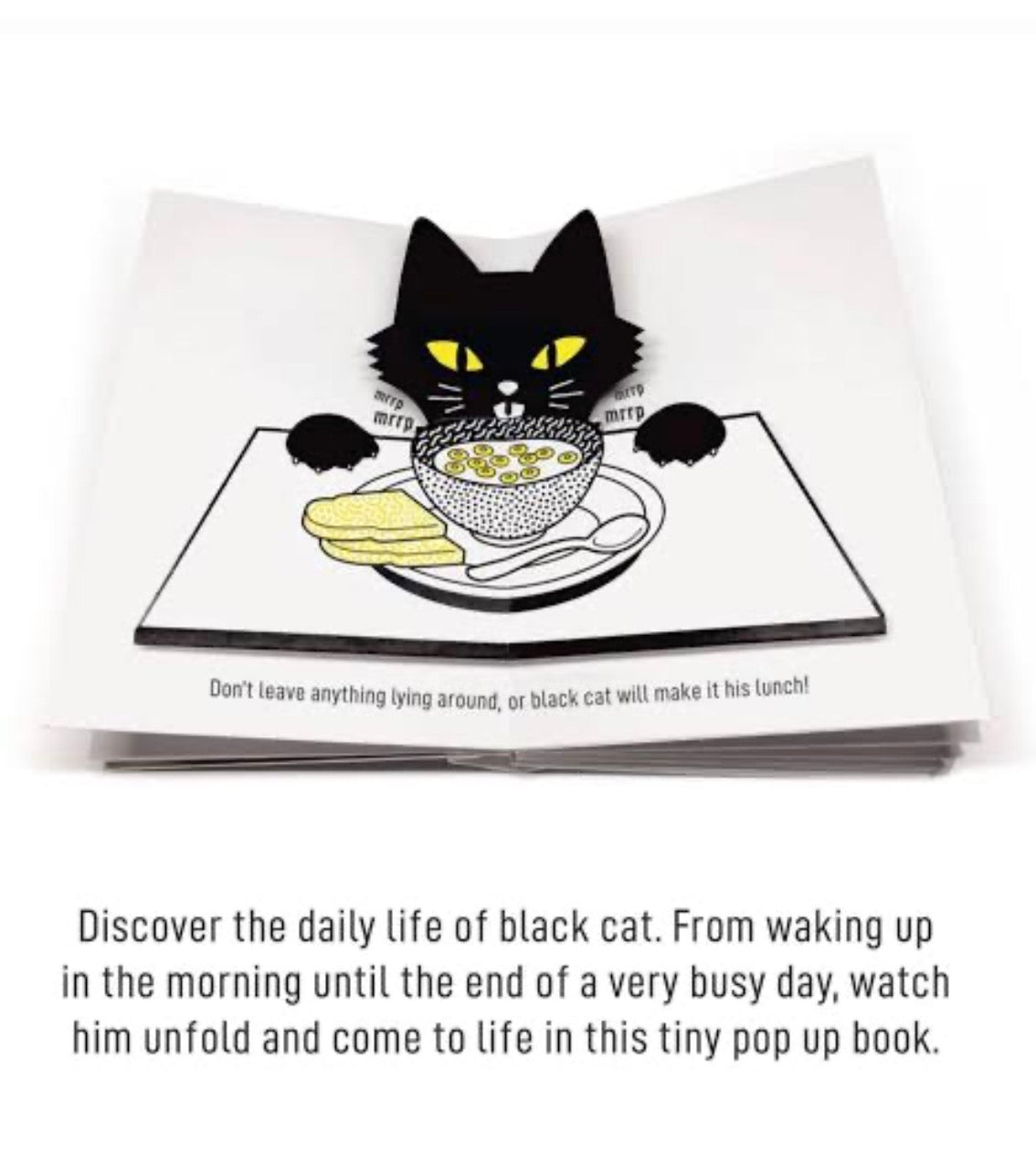 Black Cat pop-up book by Mathilde Arnaud