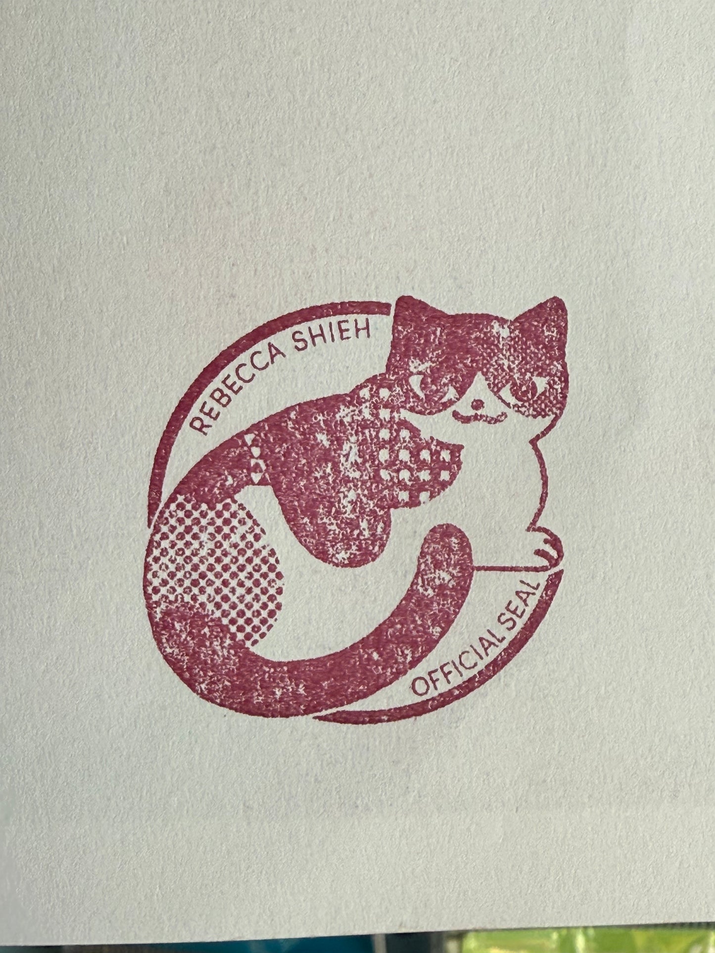 Cat Burglar by Rebecca Shieh