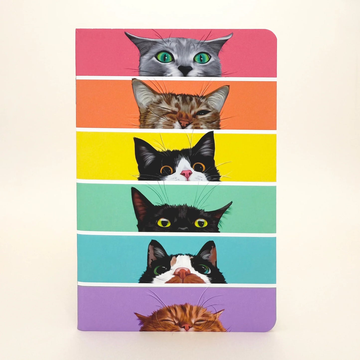 Peaking Rainbow Cats Pocket Notebook