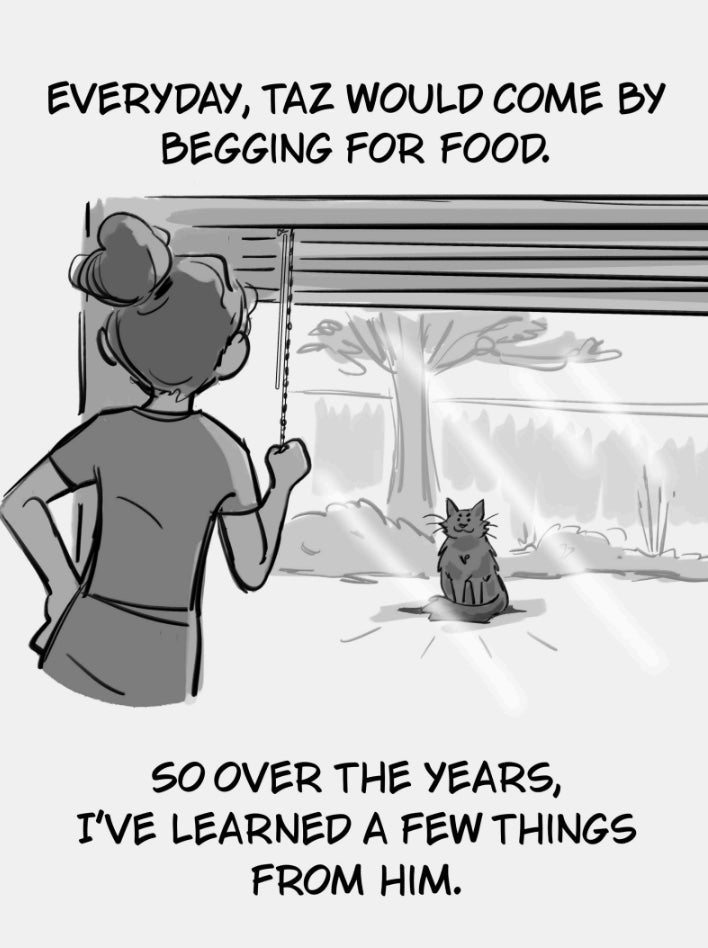 Some Cat Things I Learned From The Neighborhood Cat zine
