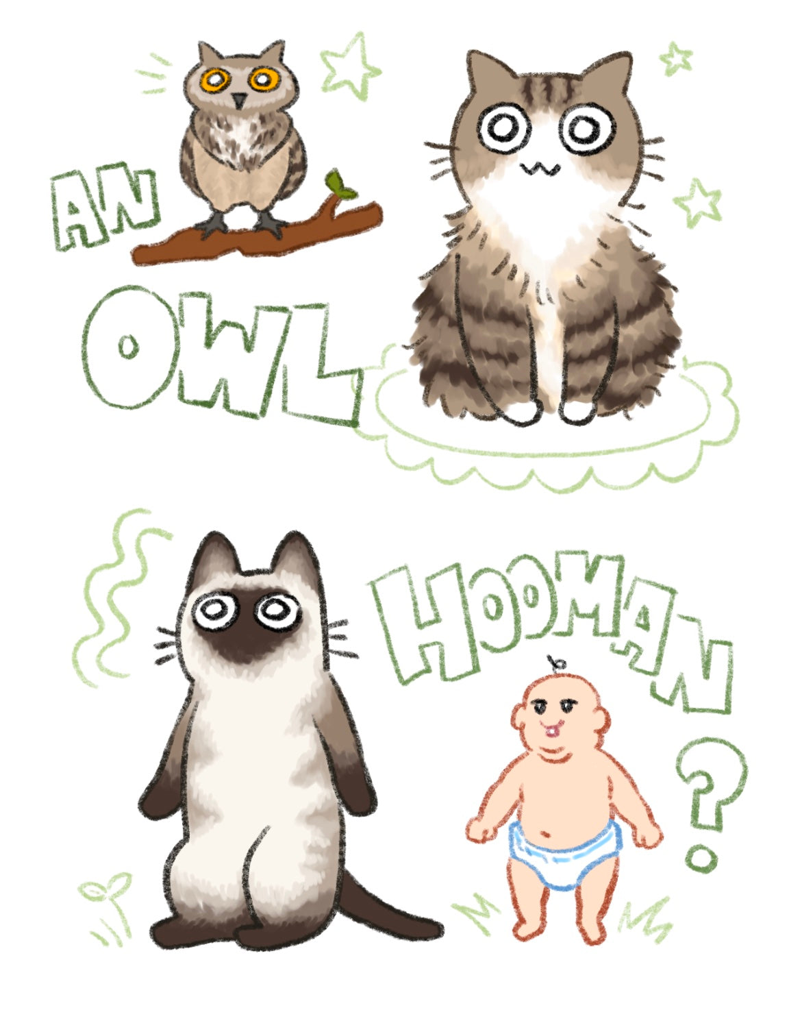 Cats Are Shapeshifters zine