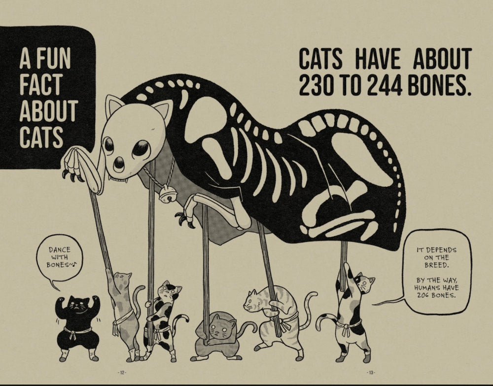 BON zine