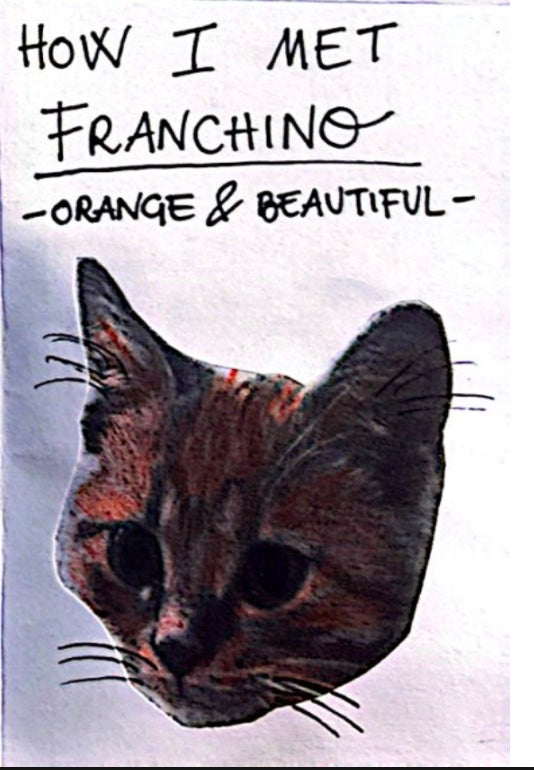 How I Met Franchino zine