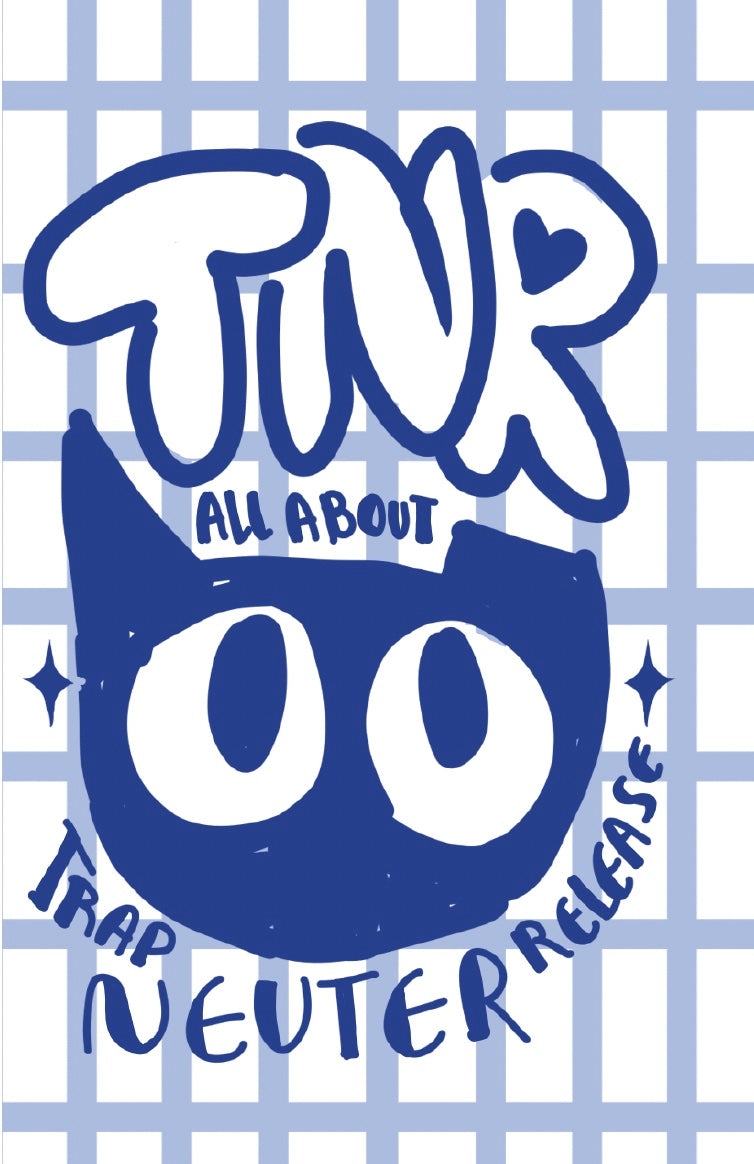 All About TNR zine
