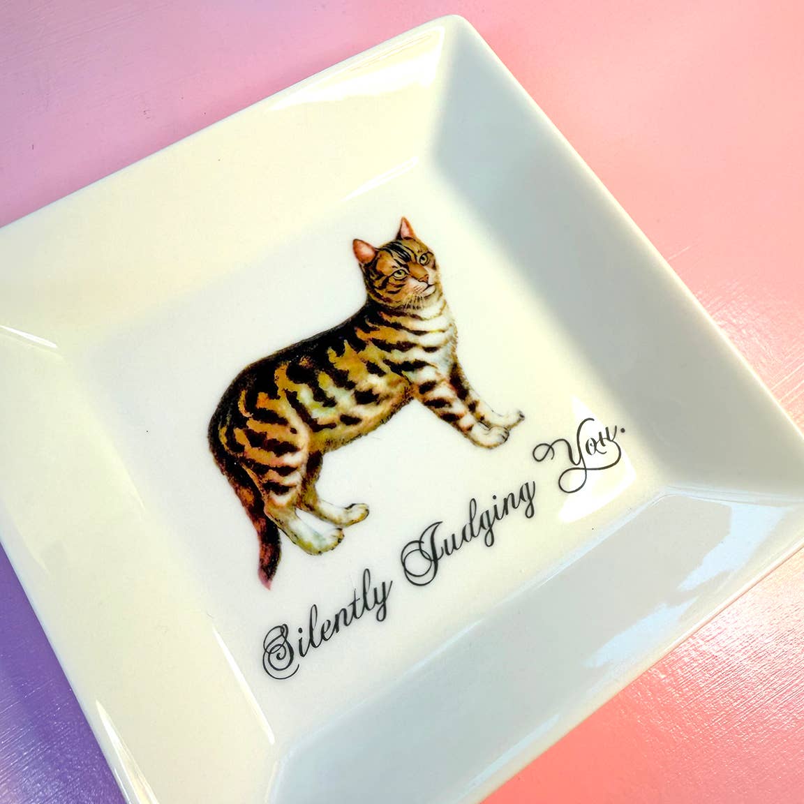"SILENTLY JUDGING YOU." - CAT TRINKET TRAY