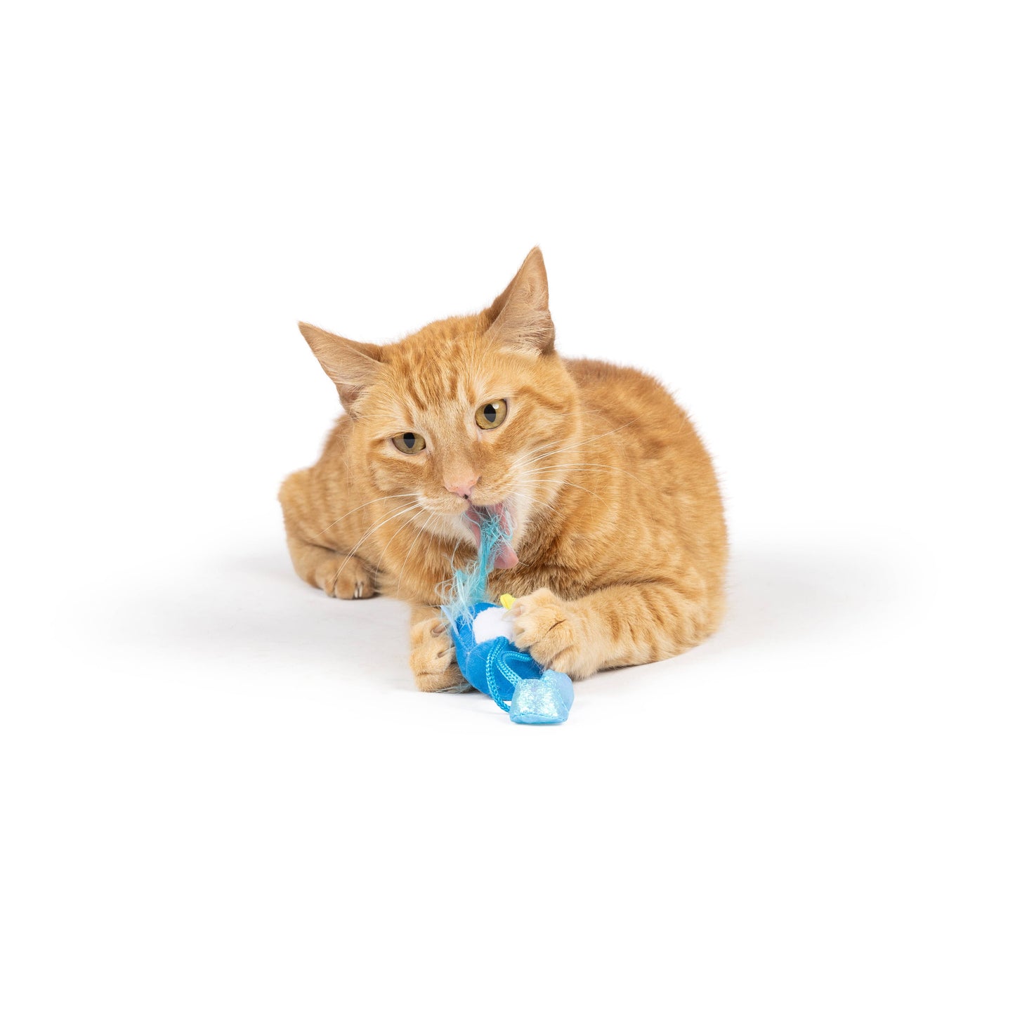 Huxley & Kent - Bluebird Chirpy Cat Toy