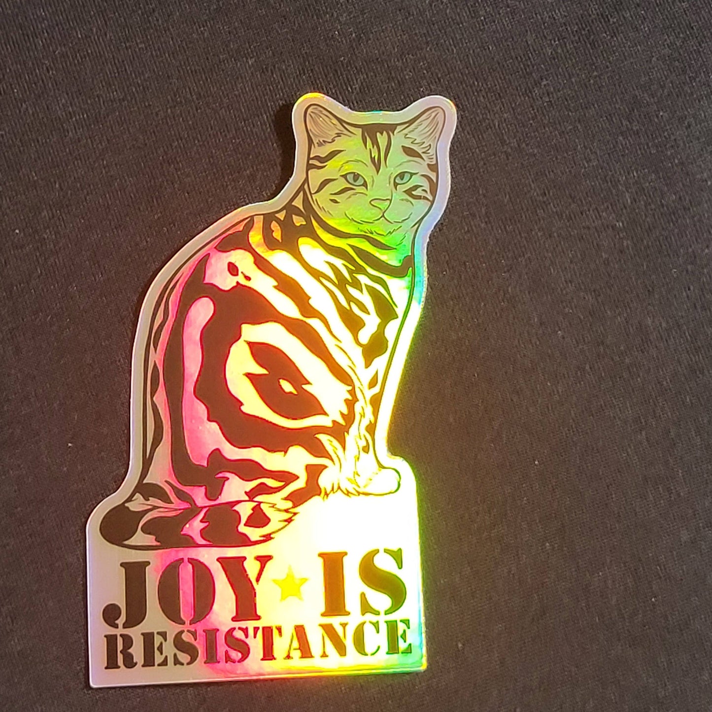 Joy Is Resistance 4" Holographic vinyl sticker