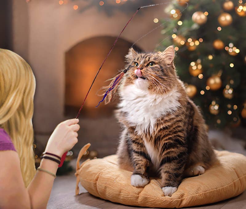 Dezi & Roo - Wiggly Wand Cat Toy