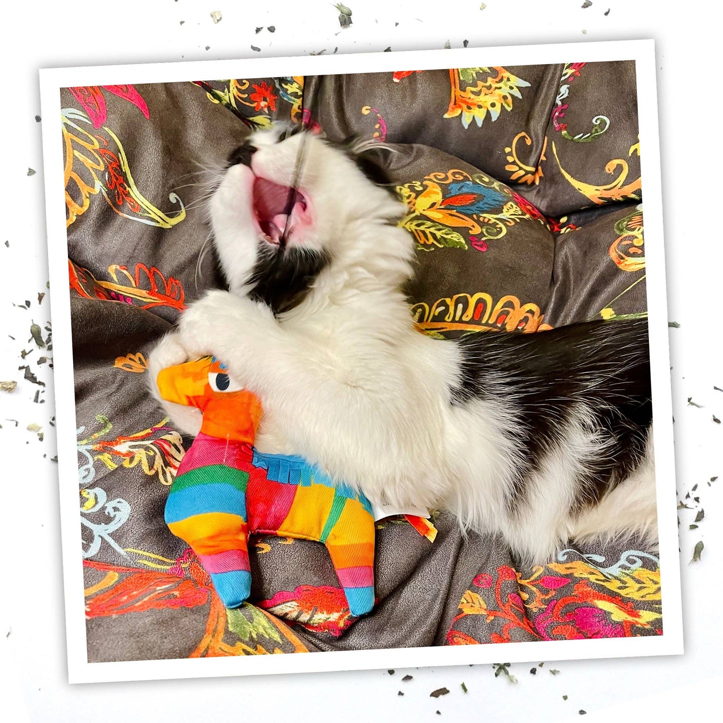 Pet Palette Distribution - Meowijuana Get Smashed Pinata w/Wand Cat Toy