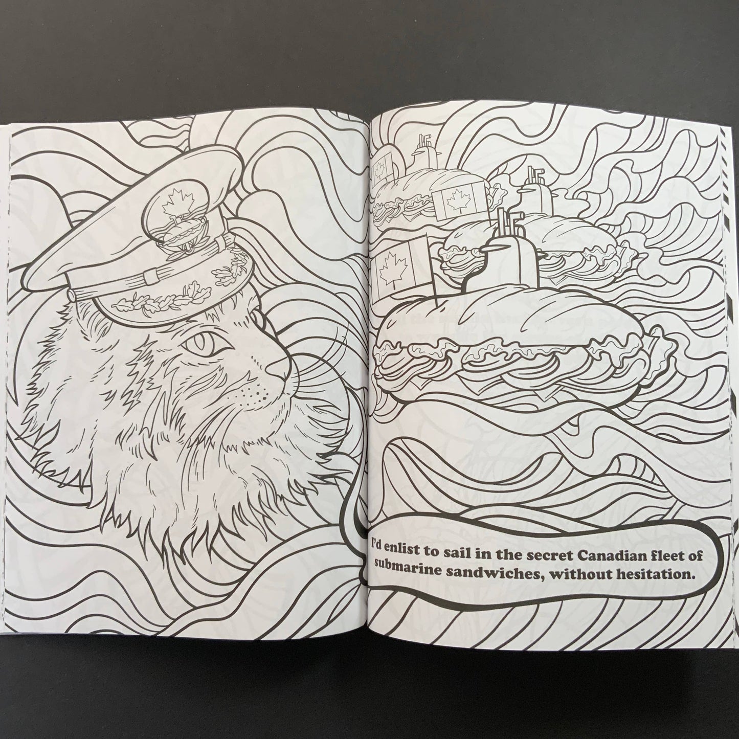 Stoner Cats Coloring Book