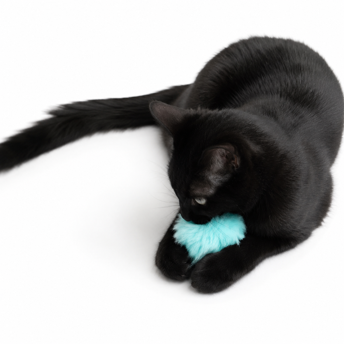 Puffy Poof Plush Pom Cat Toy
