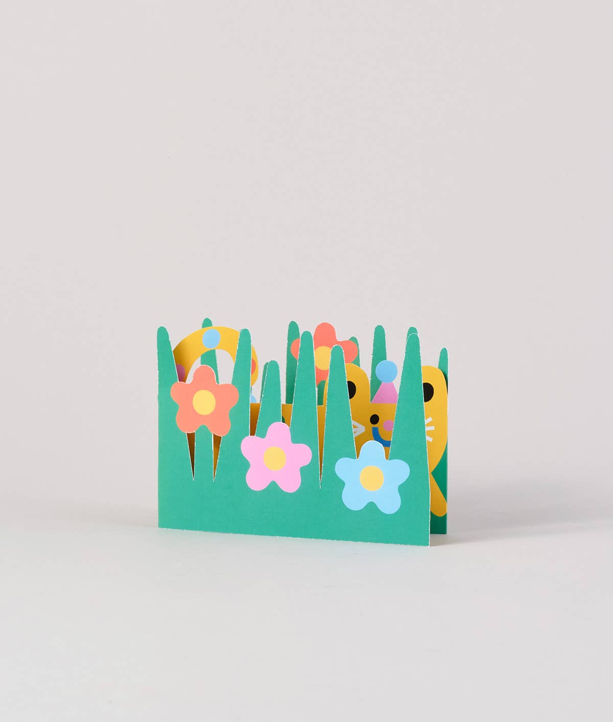 Wrap - 'Cat' Fold Out Kid's Birthday Card