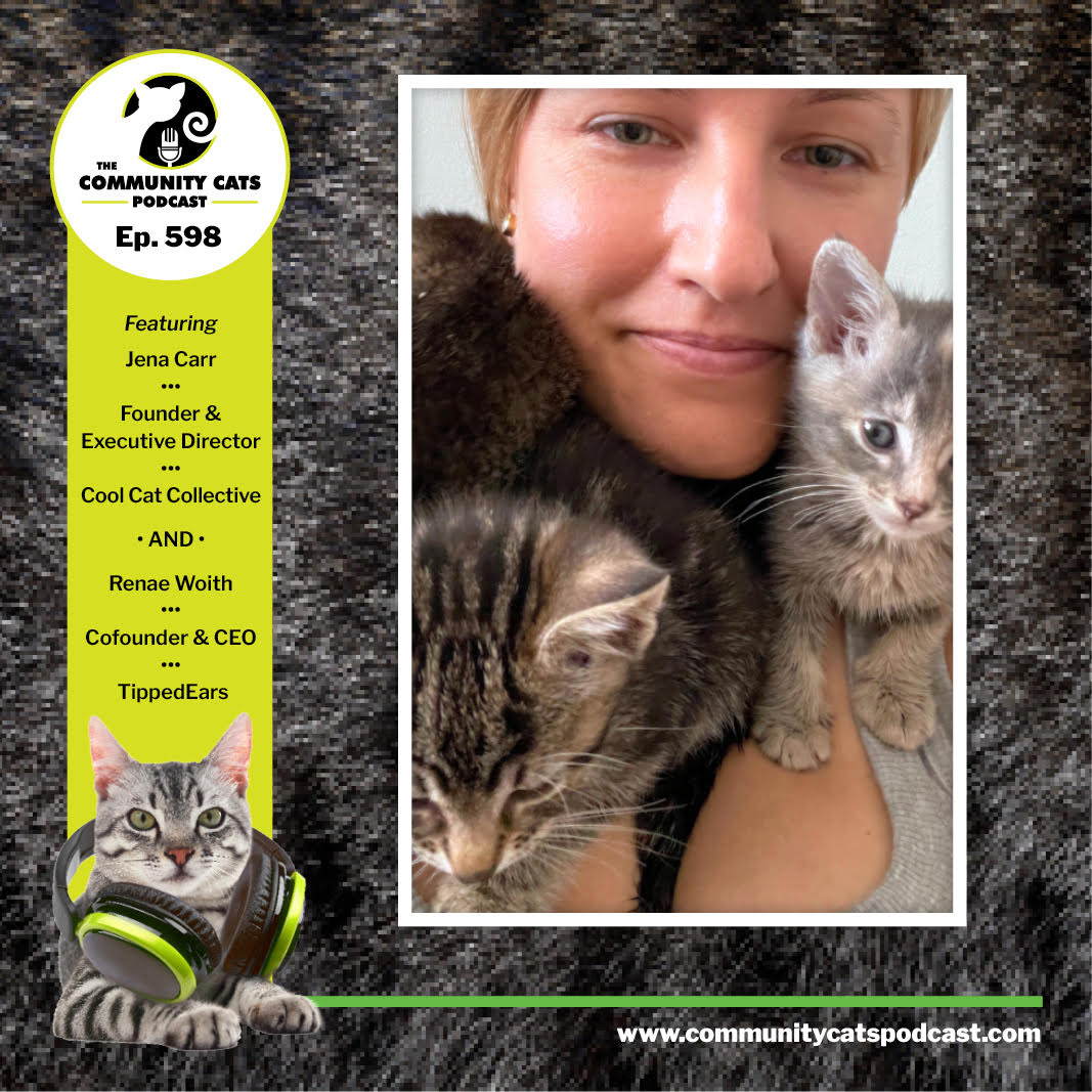 Creating Community Connections with TNR Advocacy and Cat-Friendly Business Models