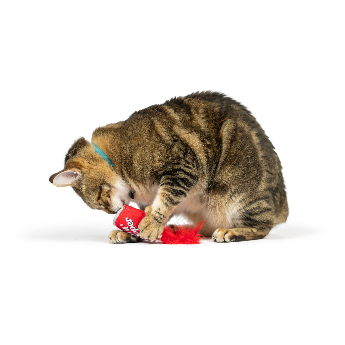 Lil' Pooper Cat Toy