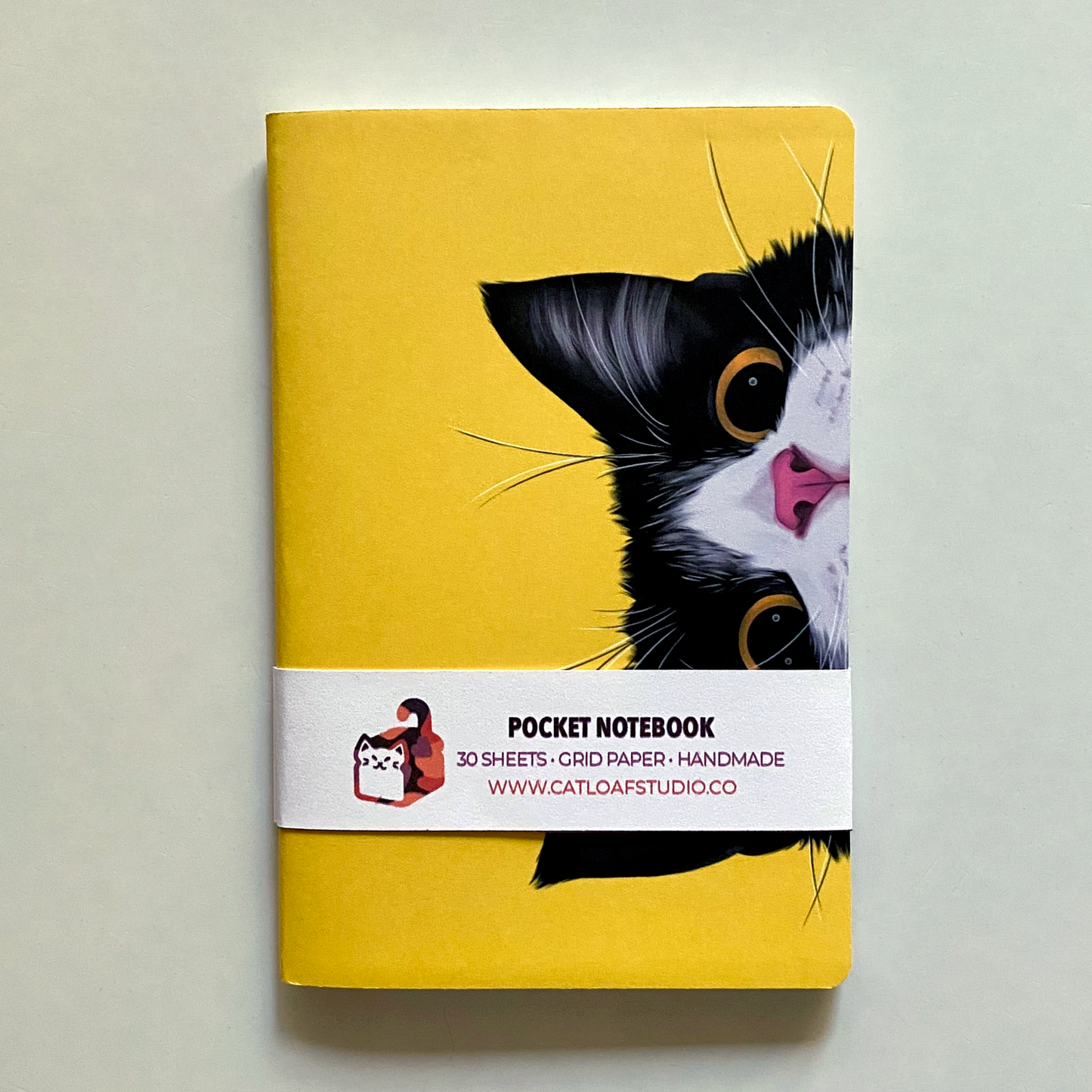 Paws-itively Intrigued Pocket Notebook