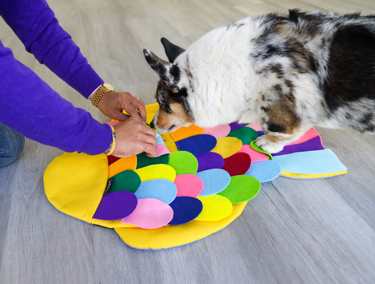 Snuffle Mat Puzzle Pad - Fish