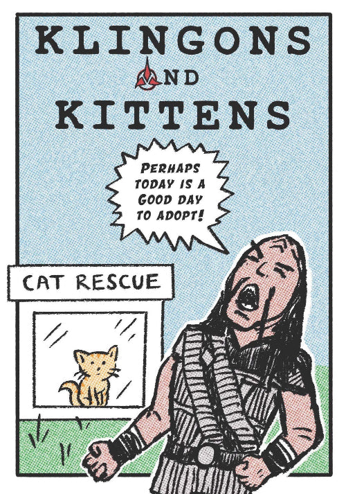 Klingons & Kittens zine