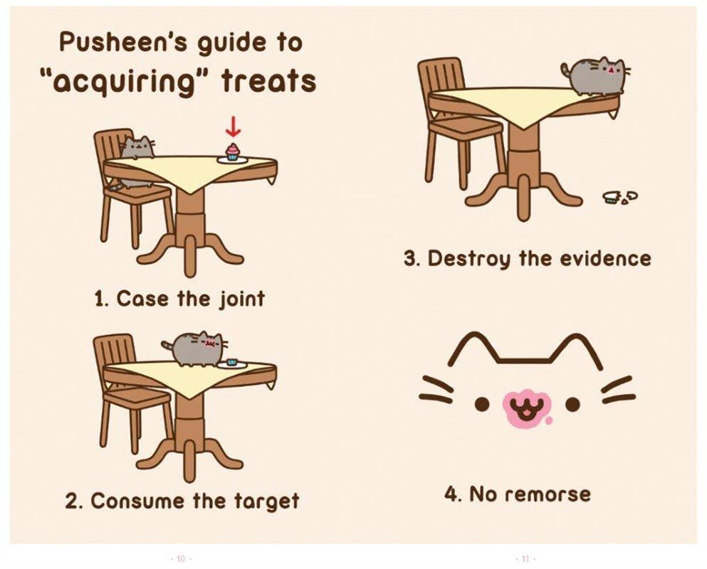 I Am Pusheen the Cat by Claire Belton