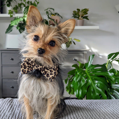 Huxley & Kent - Tan Leopard Bow Tie