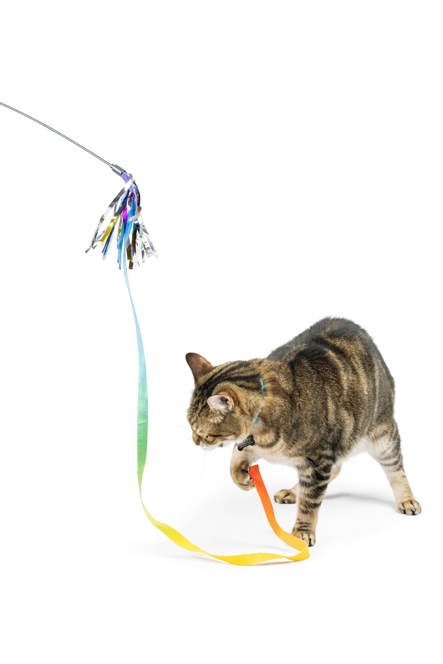 Dance & Lure Rainbow Wand Cat Toy