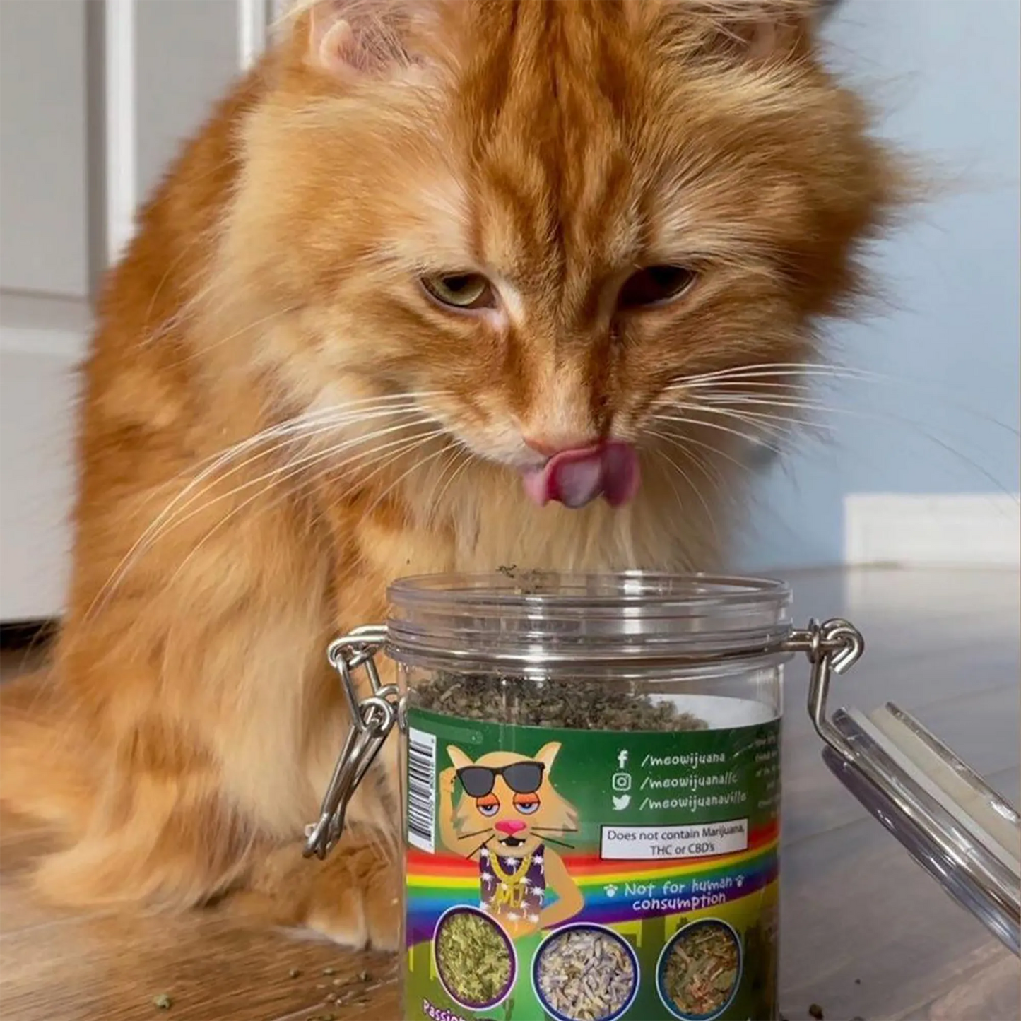 Meowijuana® Jar of Catnibas® Catnip Pawty Mix